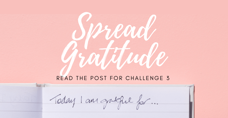 gratitude challenge 3