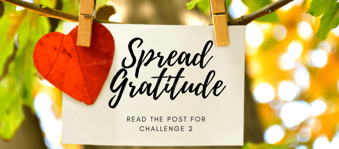 gratitude challenge 2