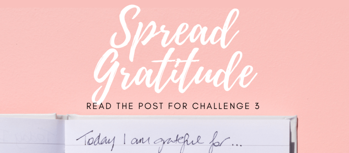 gratitude challenge 3