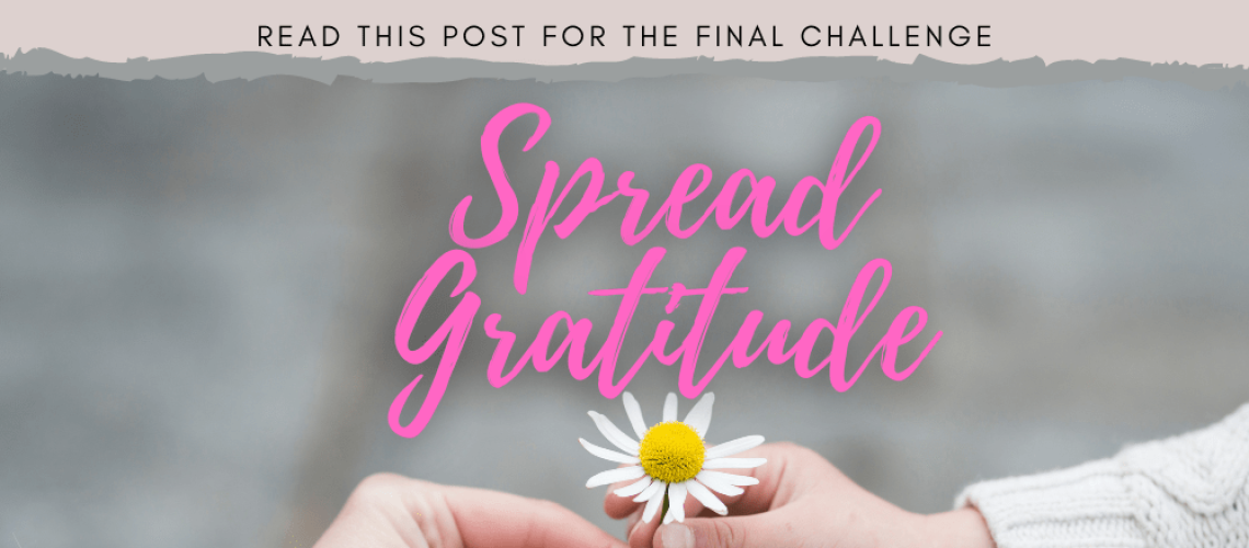 gratitude challenge 4